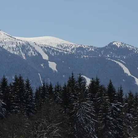 Chalet Kozel - Chamkoria Aparthotel Borovets